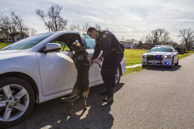 Canine Unit
