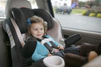 Convertible Safety Seat